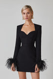 Long Sleeve Feather Sexy Evening Party Women Night Celebrity Dress