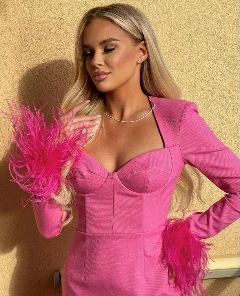 Long Sleeve Feather Sexy Evening Party Women Night Celebrity Dress