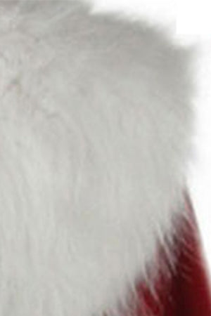 Women's Classical Mrs Claus Christmas Costume