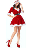 Women's Mrs. Claus Costume Christmas Santa Costume