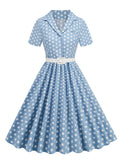Polka Dot 50s Pinup Robe Button Up Pleated Vintage Style Dress Women Elegant Belted Ladies Rockabilly Long Dresses