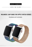Multicolor Milanese Apple Watch Band