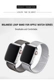 Silver Milanese Apple Watch Band